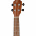 RUPA5MM Pineapple Series Укулеле концертный, ананас, Ortega - RUPA5MM Pineapple Series Укулеле концертный, ананас, Ortega