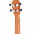 RU5MM RU Series Mahogany Укулеле концертный, матовый, Ortega - RU5MM RU Series Mahogany Укулеле концертный, матовый, Ortega