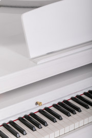 Grand-500-WHITE Цифровой рояль, с автоаккомпанементом, белый (2 коробки), Orla - Grand-500-WHITE Цифровой рояль, с автоаккомпанементом, белый (2 коробки), Orla