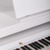 Grand-500-WHITE Цифровой рояль, с автоаккомпанементом, белый (2 коробки), Orla - Grand-500-WHITE Цифровой рояль, с автоаккомпанементом, белый (2 коробки), Orla