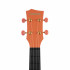 HH-2289 Carbon Fibre Укулеле концертный, с чехлом, оранжевый, углеволокно, Cascha - HH-2289 Carbon Fibre Укулеле концертный, с чехлом, оранжевый, углеволокно, Cascha