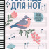 Тетрадь для нот для младших классов ДМШ и ДШИ, (птица, белый цвет), издательство "Феникс" - Тетрадь для нот для младших классов ДМШ и ДШИ, (птица, белый цвет), издательство "Феникс"