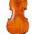 PU-V044-GI Professional Gama Unique Willow Скрипка 4/4, Gliga - PU-V044-GI Professional Gama Unique Willow Скрипка 4/4, Gliga