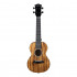 HH-2348 Acacia Series Укулеле концертный, с чехлом, цвет натуральный, Cascha - HH-2348 Acacia Series Укулеле концертный, с чехлом, цвет натуральный, Cascha