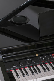 Grand-500-BLACK Цифровой рояль, с автоаккомпанементом, черный (2 коробки), Orla - Grand-500-BLACK Цифровой рояль, с автоаккомпанементом, черный (2 коробки), Orla
