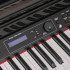 Grand-500-BLACK Цифровой рояль, с автоаккомпанементом, черный (2 коробки), Orla - Grand-500-BLACK Цифровой рояль, с автоаккомпанементом, черный (2 коробки), Orla