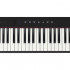 PX-S1000BK Privia Цифровое пианино со стойкой, черное (2 коробки), Casio - PX-S1000BK Privia Цифровое пианино со стойкой, черное (2 коробки), Casio