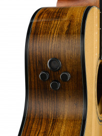 Gold-A6-Bocote-WCASE-NAT Gold Series Электро-акустическая гитара, цвет натуральный, с чехлом, Cort - Gold-A6-Bocote-WCASE-NAT Gold Series Электро-акустическая гитара, цвет натуральный, с чехлом, Cort