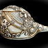 Конх - поющая раковина (Singing shell) - Конх - поющая раковина (Singing shell)