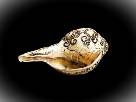 Конх - поющая раковина (Singing shell) - Конх - поющая раковина (Singing shell)