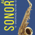 FR19SA14 Sonore Трости для саксофона альт № 3 (10шт), FedotovReeds - FR19SA14 Sonore Трости для саксофона альт № 3 (10шт), FedotovReeds