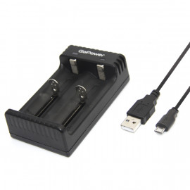 00-00015360 LiCharger 4 Зарядное устройство для аккумуляторов Ni-MH/Ni-Cd/Li-ion, 2 слота, GoPower - 00-00015360 LiCharger 4 Зарядное устройство для аккумуляторов Ni-MH/Ni-Cd/Li-ion, 2 слота, GoPower