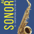 FR19SA15 Sonore Трости для саксофона альт № 3+ (10шт), FedotovReeds - FR19SA15 Sonore Трости для саксофона альт № 3+ (10шт), FedotovReeds