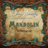 DM2402 Комплект струн для мандолины, фосфорная бронза, 11-38, Dean Markley - DM2402 Комплект струн для мандолины, фосфорная бронза, 11-38, Dean Markley
