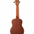 RU5-TE RU Series Spruce Укулеле тенор, матовый, Ortega - RU5-TE RU Series Spruce Укулеле тенор, матовый, Ortega