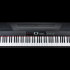 SP3000+stand Slim Piano Цифровое пианино, со стойкой (2 коробки), Medeli - SP3000+stand Slim Piano Цифровое пианино, со стойкой (2 коробки), Medeli