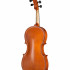 S-V16 Student Genial 1 Oil Альт, Gliga - S-V16 Student Genial 1 Oil Альт, Gliga