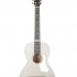 047956 Rialto JR Satina Gray HG Q-Discrete Электро-акустическая гитара, с чехлом, Godin - 047956 Rialto JR Satina Gray HG Q-Discrete Электро-акустическая гитара, с чехлом, Godin